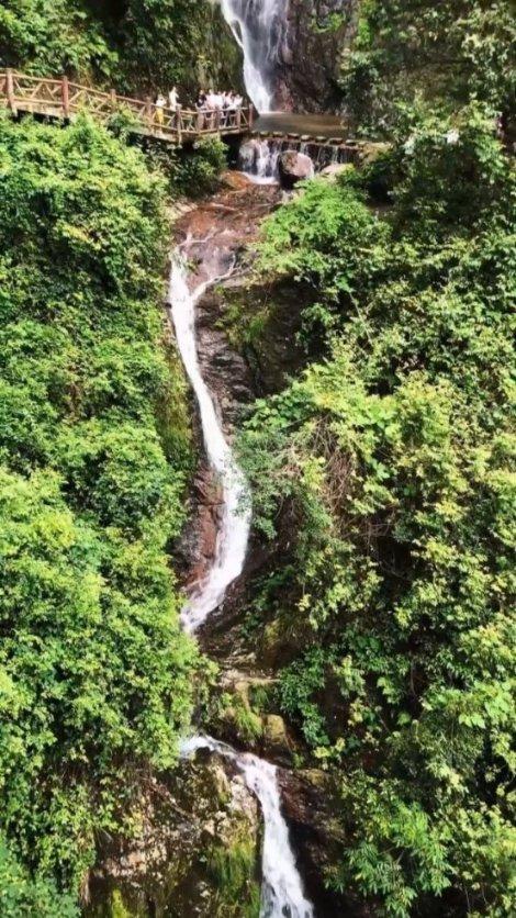 徐家店镇一年出口水果3亿多元